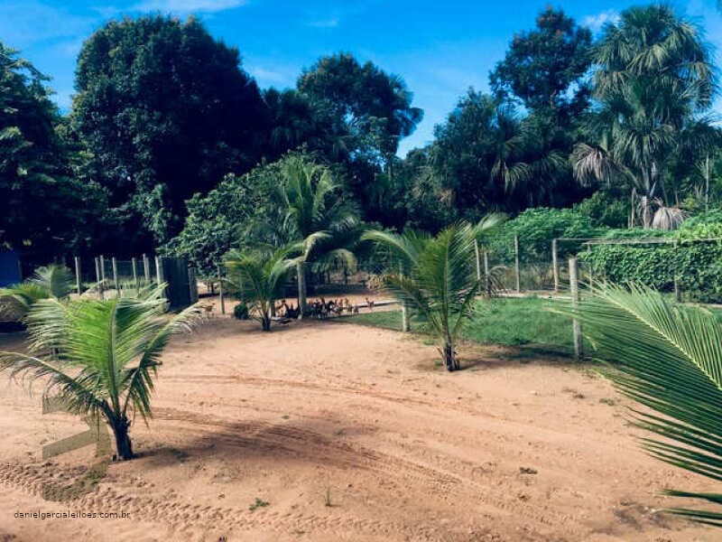 Foto 46 de 74: Area Rural em leilão em Barra Do Garças - MT — LOTE 044 IMÓVEL