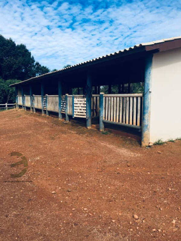 Foto 28 de 74: Area Rural em leilão em Barra Do Garças - MT — LOTE 044 IMÓVEL