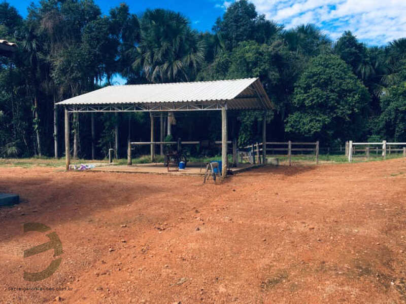 Foto 31 de 74: Area Rural em leilão em Barra Do Garças - MT — LOTE 044 IMÓVEL