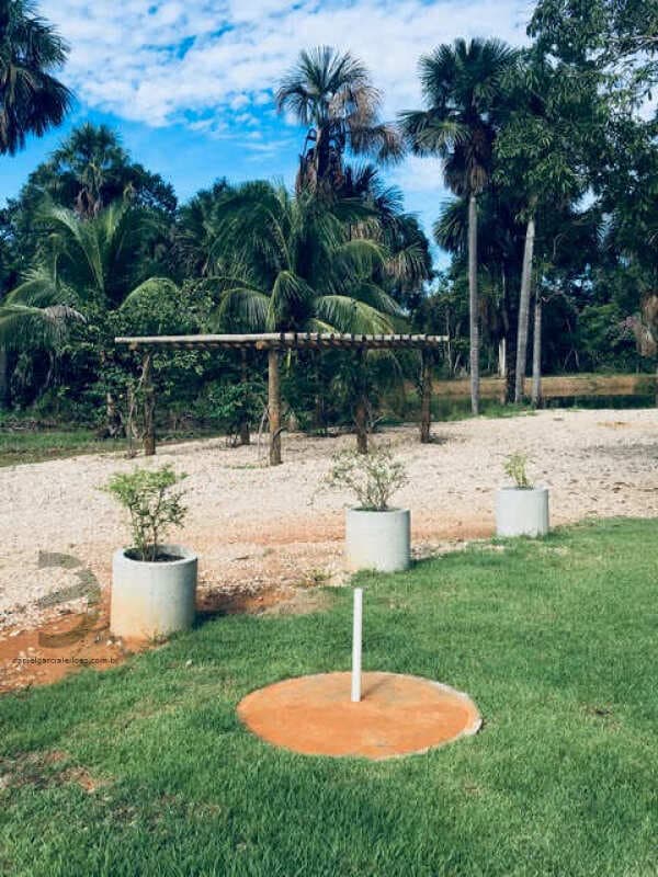 Foto 65 de 74: Area Rural em leilão em Barra Do Garças - MT — LOTE 044 IMÓVEL