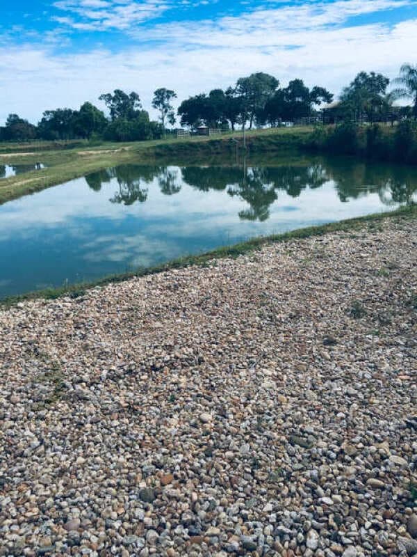 Foto 66 de 74: Area Rural em leilão em Barra Do Garças - MT — LOTE 044 IMÓVEL