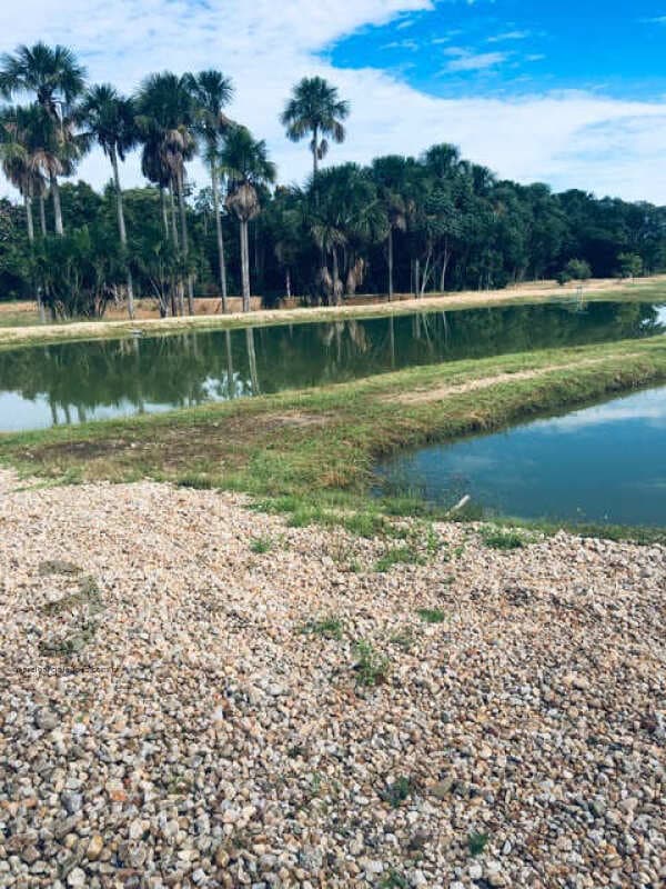 Foto 67 de 74: Area Rural em leilão em Barra Do Garças - MT — LOTE 044 IMÓVEL