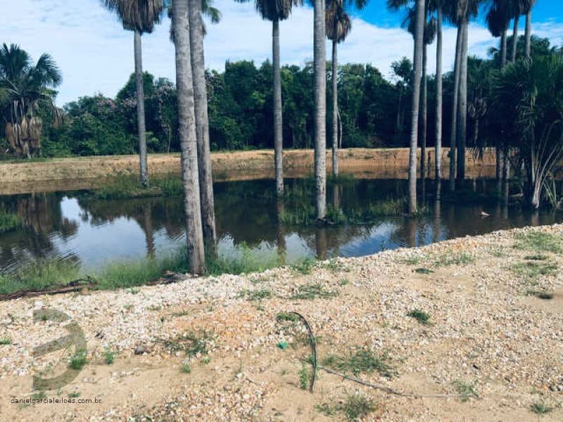 Foto 69 de 74: Area Rural em leilão em Barra Do Garças - MT — LOTE 044 IMÓVEL