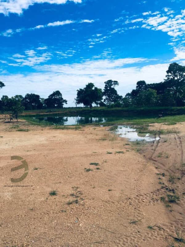 Foto 70 de 74: Area Rural em leilão em Barra Do Garças - MT — LOTE 044 IMÓVEL
