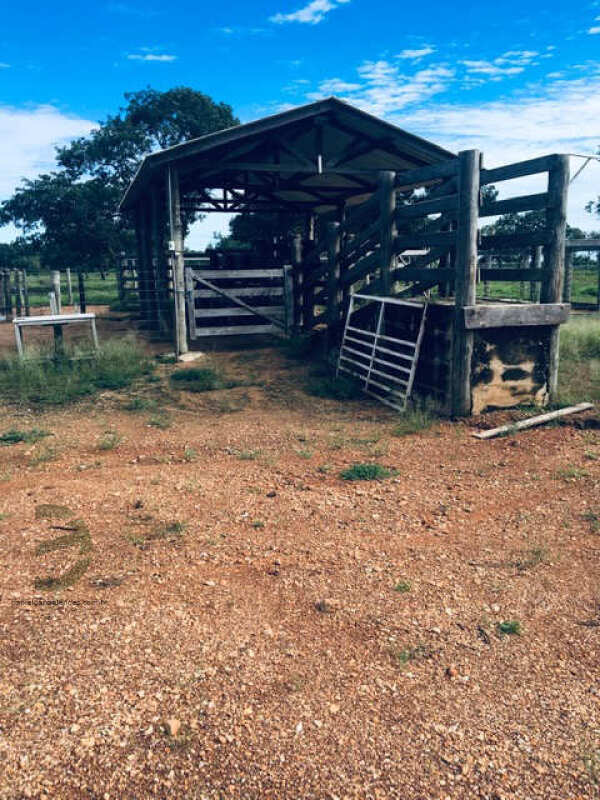 Foto 72 de 74: Area Rural em leilão em Barra Do Garças - MT — LOTE 044 IMÓVEL