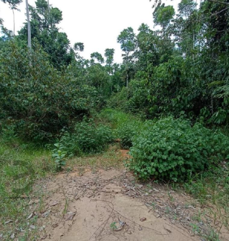 Foto 4 de 9: Area Rural em leilão em Colniza - MT — LOTE 052 Imóvel
