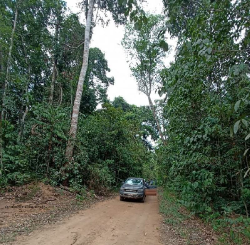 Foto 5 de 9: Area Rural em leilão em Colniza - MT — LOTE 052 Imóvel