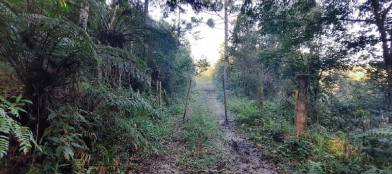 Terreno em leilão em Colombo - PR — LOTE 001 Terreno