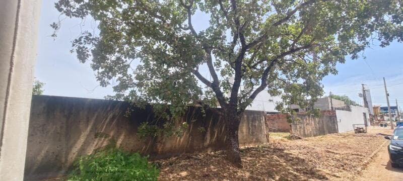 Foto 12 de 12: Terreno em leilão em Palmas - TO, bairro Loteamento Palmas 2ª Etapa Fase I — LOTE 001 Terreno