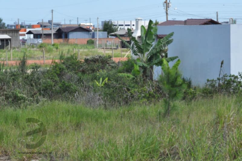 Foto 5 de 19: Terreno em leilão em Passo De Torres - SC, bairro Balneário Caravelle — LOTE 001 Terreno
