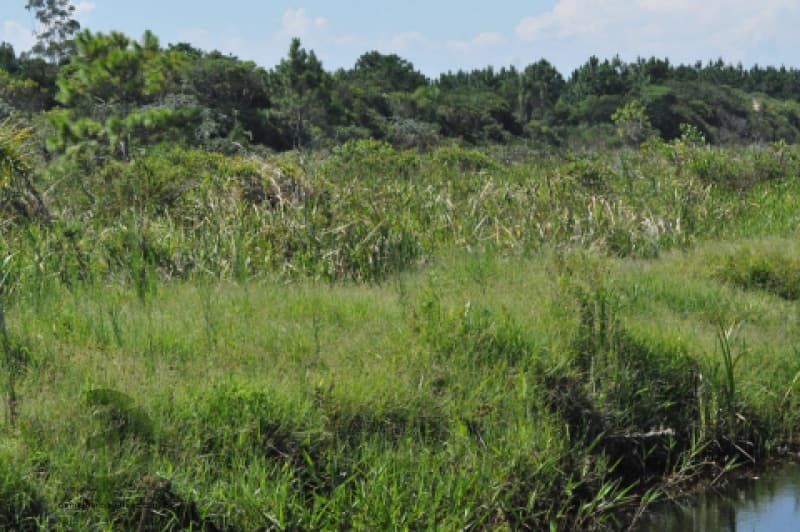 Foto 12 de 19: Terreno em leilão em Passo De Torres - SC, bairro Balneário Caravelle — LOTE 001 Terreno