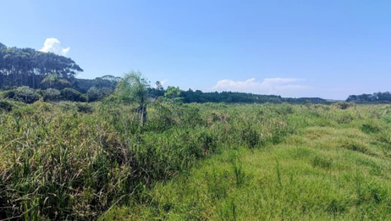 Foto 16 de 19: Terreno em leilão em Passo De Torres - SC, bairro Balneário Caravelle — LOTE 001 Terreno