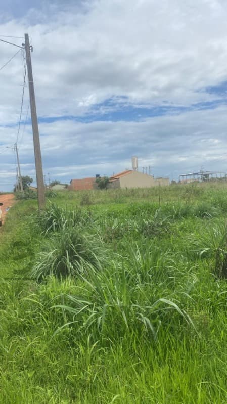 Foto 8 de 8: Terreno em leilão em Flores De Goiás - GO, bairro Jardim Alvorada — LOTE 016 Terreno