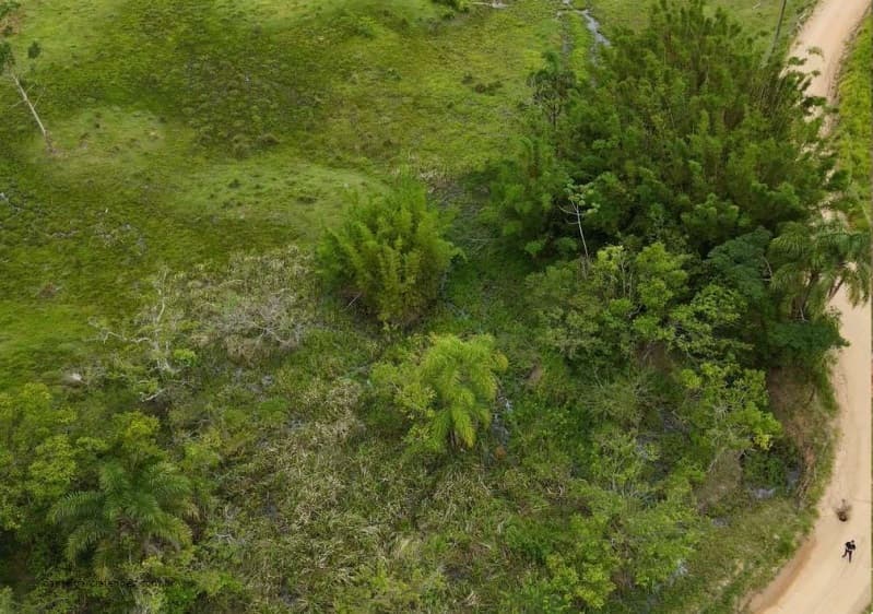 Foto 4 de 10: Area Rural em leilão em Imaruí - SC — LOTE 020 Terreno