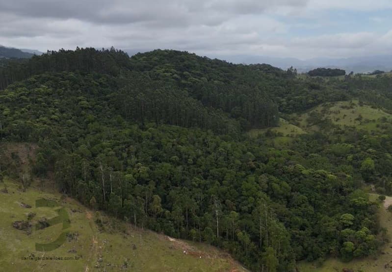 Foto 5 de 10: Area Rural em leilão em Imaruí - SC — LOTE 020 Terreno