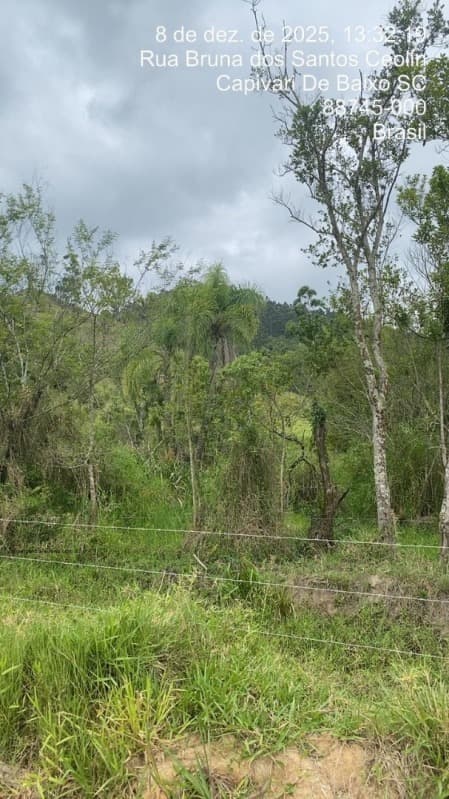 Foto 8 de 10: Area Rural em leilão em Imaruí - SC — LOTE 020 Terreno