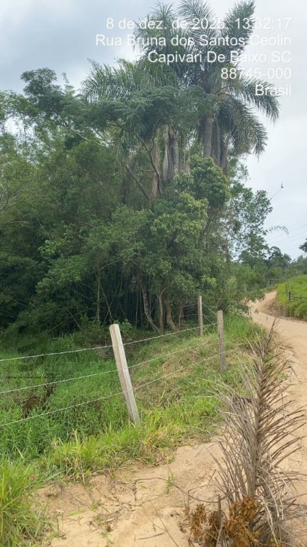 Foto 9 de 10: Area Rural em leilão em Imaruí - SC — LOTE 020 Terreno