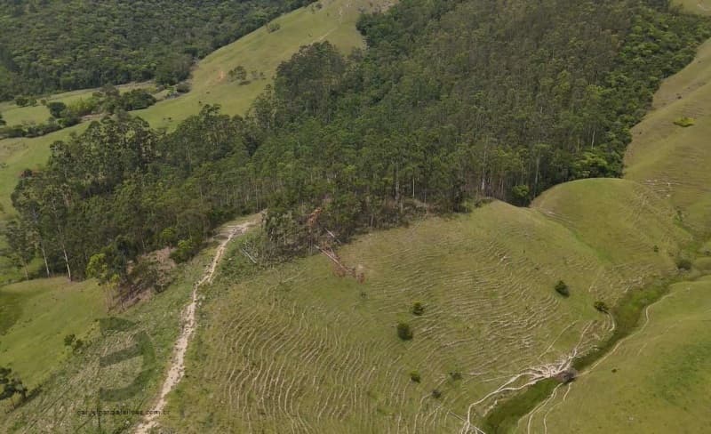 Foto 3 de 8: Area Rural em leilão em Imaruí - SC — LOTE 021 Terreno