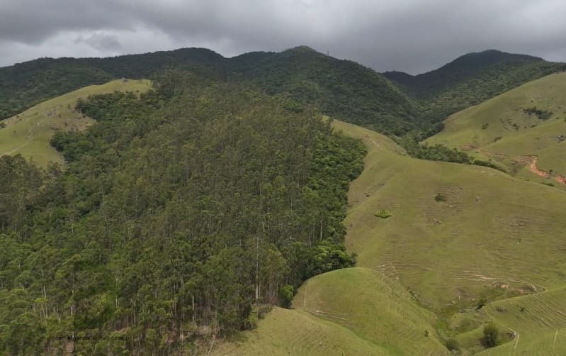Foto 5 de 8: Area Rural em leilão em Imaruí - SC — LOTE 021 Terreno