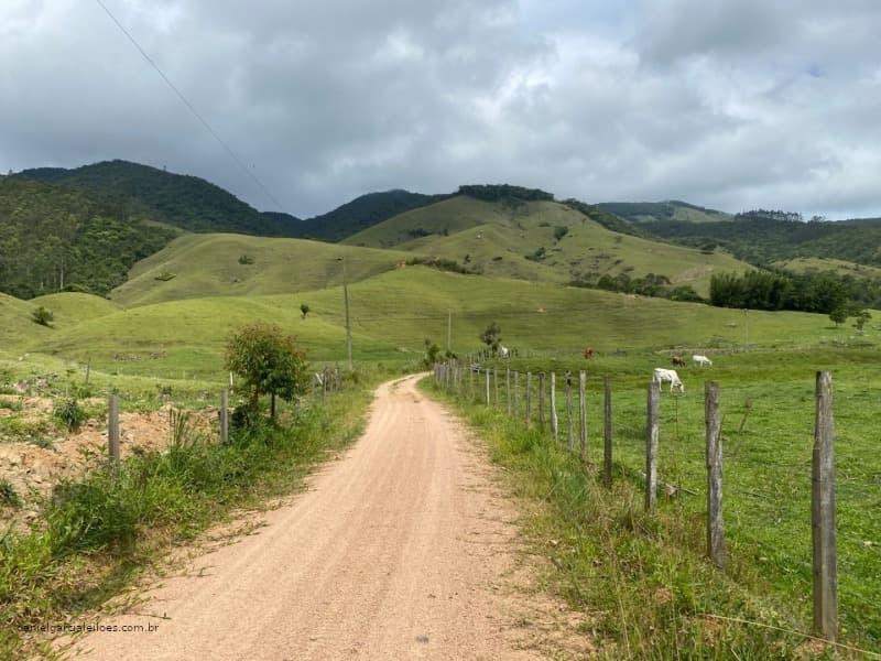 Foto 8 de 8: Area Rural em leilão em Imaruí - SC — LOTE 021 Terreno