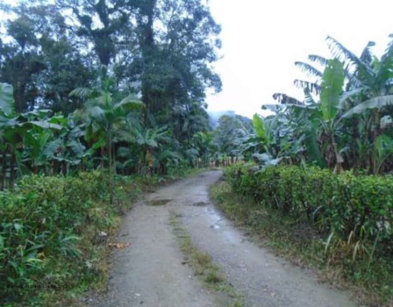 Foto 3 de 3: Area Rural em leilão em Garuva - SC — LOTE 031 Terreno