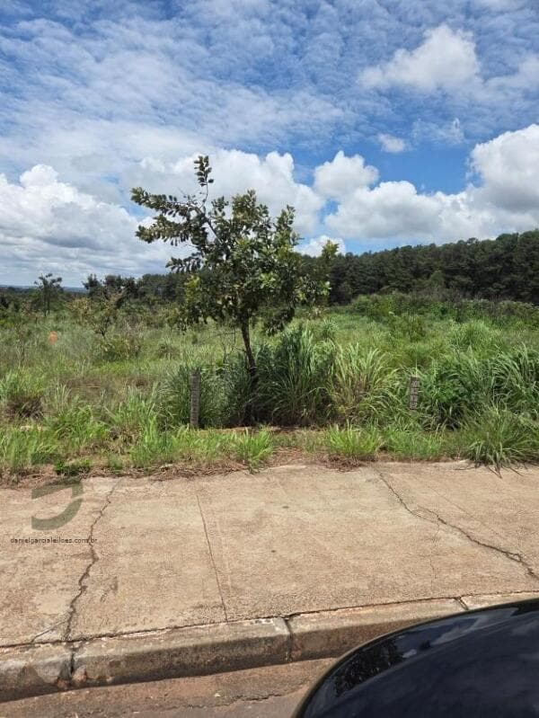 Foto 5 de 10: Area Rural em leilão em Brasília - DF — LOTE 001 Fração de Imóvel