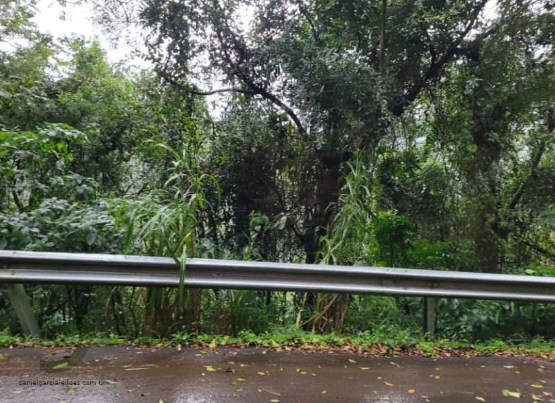 Terreno em leilão em Criciúma - SC, bairro Boa Esperança — LOTE 001 Terreno