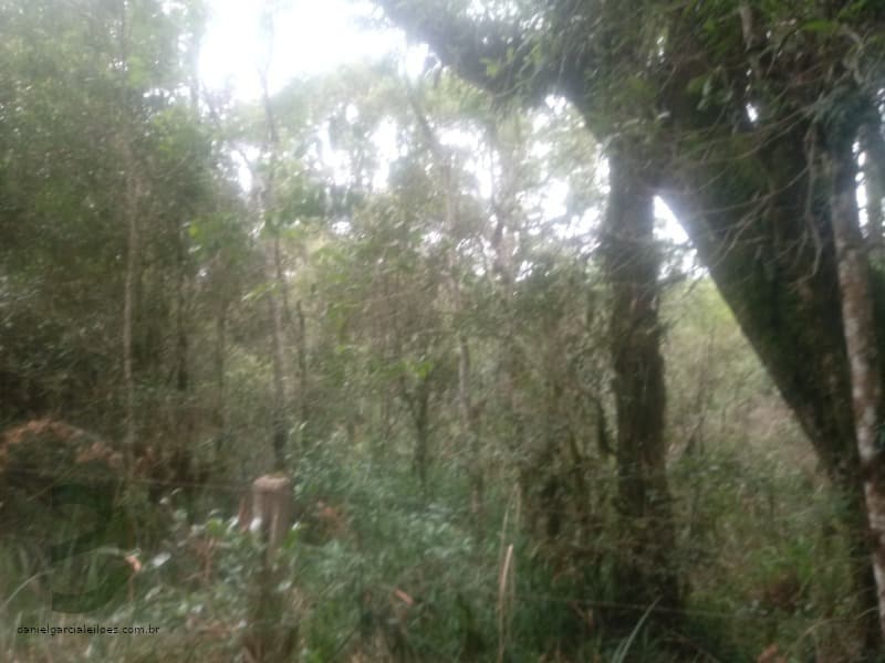 Foto 1 de 7: Area Rural em leilão em Pinhão - PR — LOTE 001 Fração de Imóvel