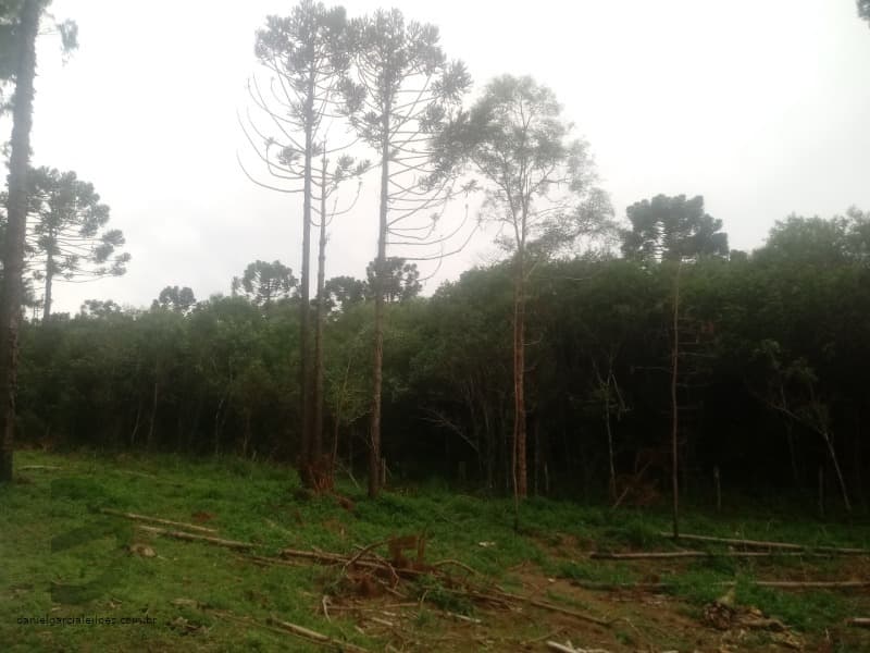 Foto 2 de 7: Area Rural em leilão em Pinhão - PR — LOTE 001 Fração de Imóvel