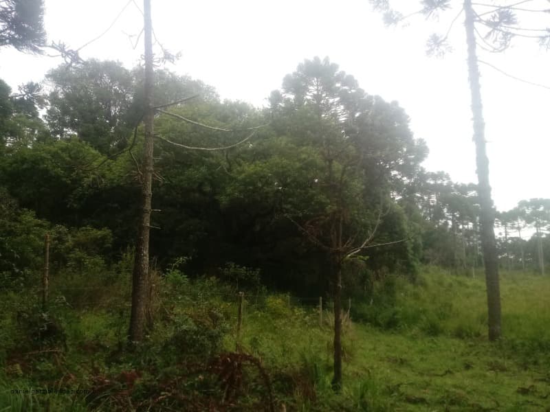 Foto 3 de 7: Area Rural em leilão em Pinhão - PR — LOTE 001 Fração de Imóvel