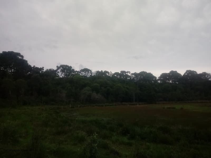 Foto 4 de 7: Area Rural em leilão em Pinhão - PR — LOTE 001 Fração de Imóvel