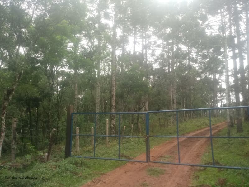 Foto 5 de 7: Area Rural em leilão em Pinhão - PR — LOTE 001 Fração de Imóvel