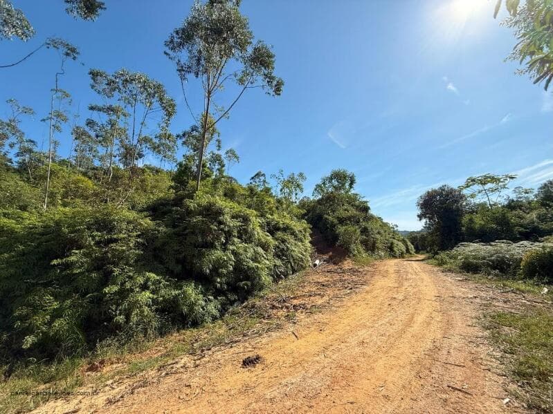 Foto 6 de 22: Terreno em leilão em Canelinha - SC — LOTE 001 Terreno