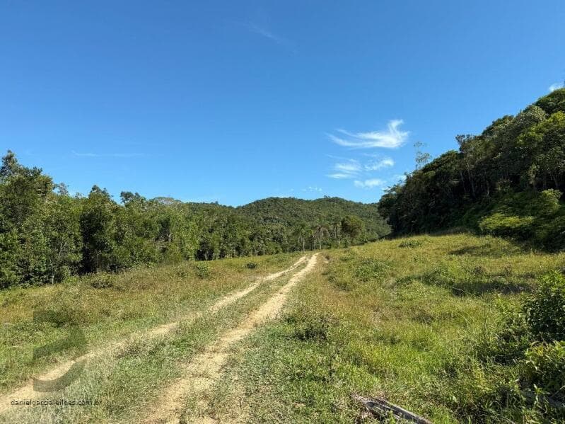 Foto 7 de 22: Terreno em leilão em Canelinha - SC — LOTE 001 Terreno