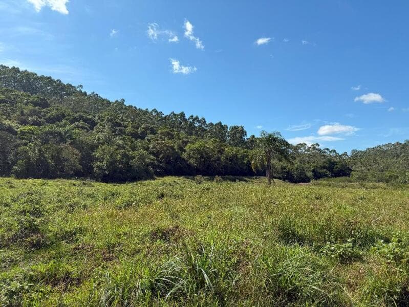 Foto 8 de 22: Terreno em leilão em Canelinha - SC — LOTE 001 Terreno