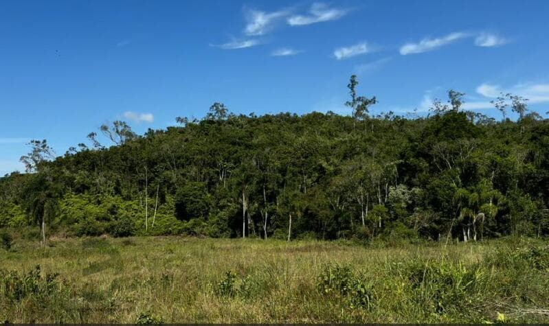 Foto 9 de 22: Terreno em leilão em Canelinha - SC — LOTE 001 Terreno