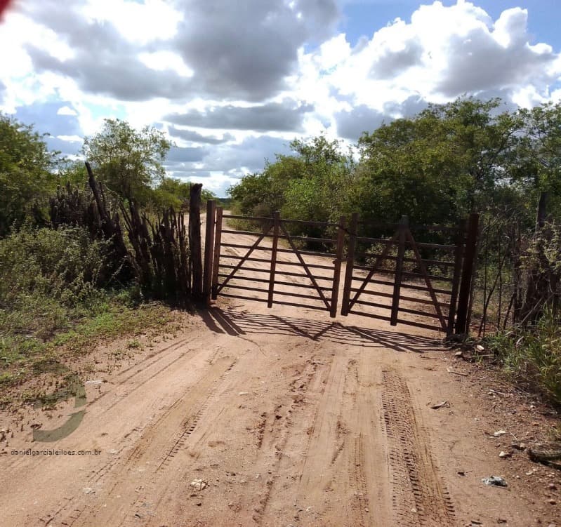 Foto 3 de 7: Area Rural em leilão em Sertânia - PE, bairro Zona Rural — LOTE 034 IMÓVEL