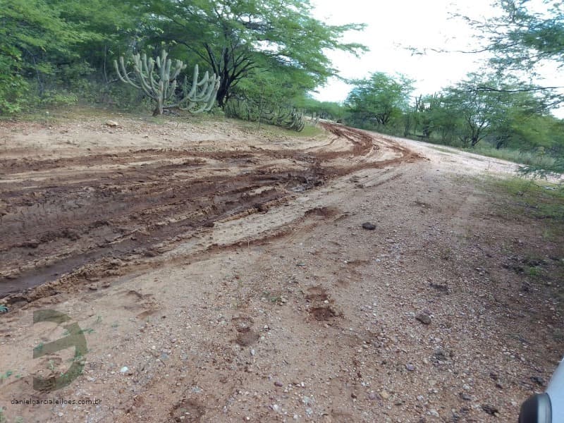 Foto 4 de 7: Area Rural em leilão em Sertânia - PE, bairro Zona Rural — LOTE 034 IMÓVEL