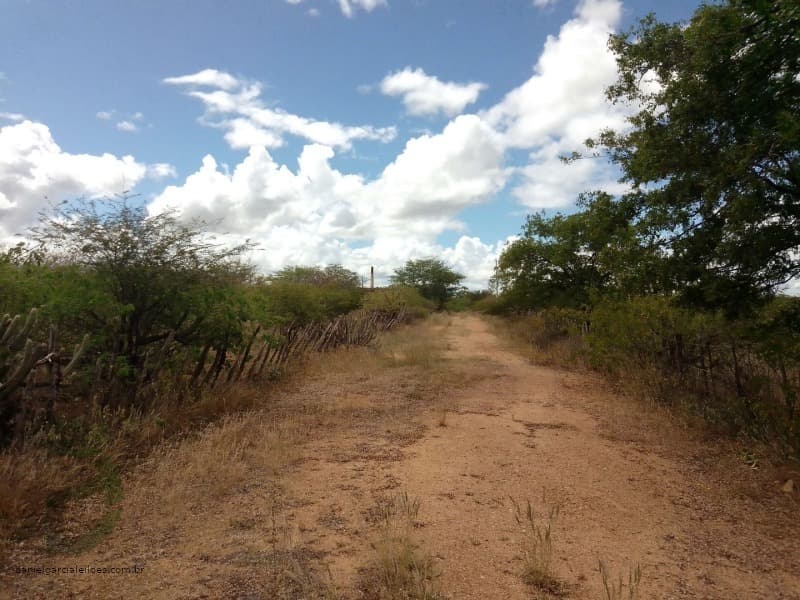 Foto 5 de 7: Area Rural em leilão em Sertânia - PE, bairro Zona Rural — LOTE 034 IMÓVEL