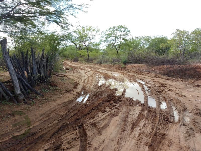 Foto 7 de 7: Area Rural em leilão em Sertânia - PE, bairro Zona Rural — LOTE 034 IMÓVEL