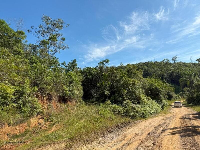 Foto 17 de 21: Terreno em leilão em Canelinha - SC — LOTE 001 Imóvel