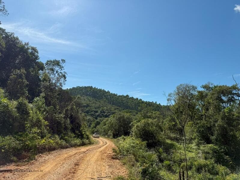 Foto 21 de 21: Terreno em leilão em Canelinha - SC — LOTE 001 Imóvel