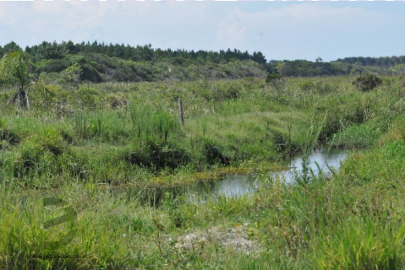 Foto 6 de 12: Terreno em leilão em Passo De Torres - SC, bairro Balneário Caravelle — LOTE 001 Terreno