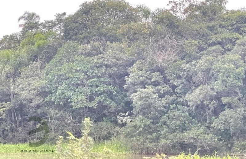 Terreno em leilão em Maracajá - SC — LOTE 001 Fração de Imóvel