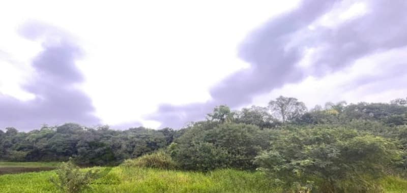 Foto 3 de 7: Terreno em leilão em Maracajá - SC — LOTE 001 Fração de Imóvel