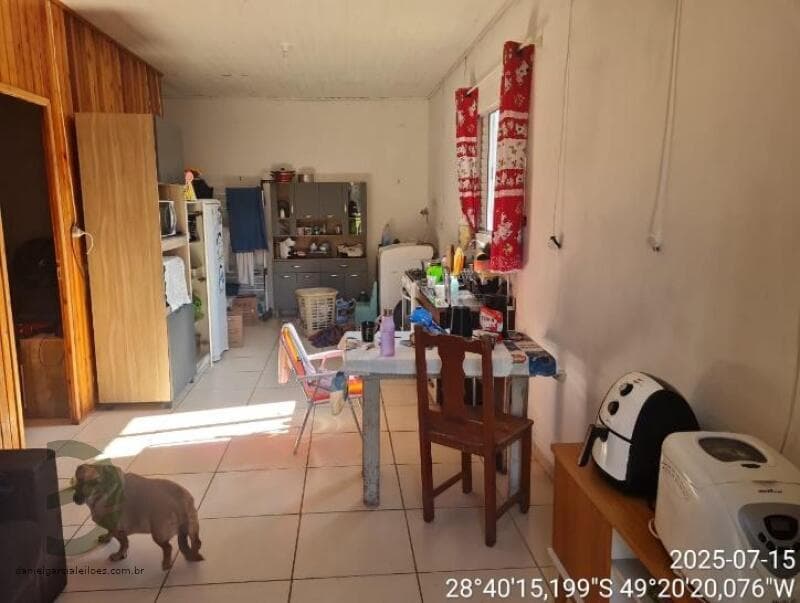 Foto 6 de 13: Terreno em leilão em Criciúma - SC, bairro Argentina — LOTE 003 Imóvel