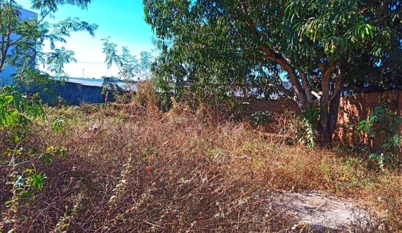 Foto 1 de 3: Terreno em leilão em Ribeira Do Pombal - BA, bairro Caboré — LOTE 001 Terreno