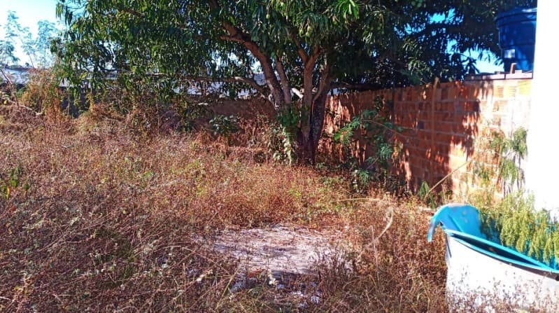Foto 3 de 3: Terreno em leilão em Ribeira Do Pombal - BA, bairro Caboré — LOTE 001 Terreno