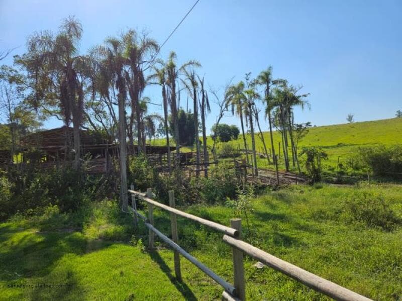 Foto 15 de 17: Terreno em leilão em Morro Da Fumaça - SC — LOTE 001 Terreno