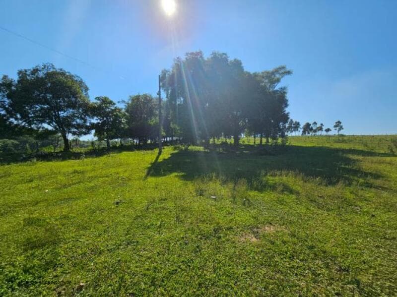 Foto 16 de 17: Terreno em leilão em Morro Da Fumaça - SC — LOTE 001 Terreno